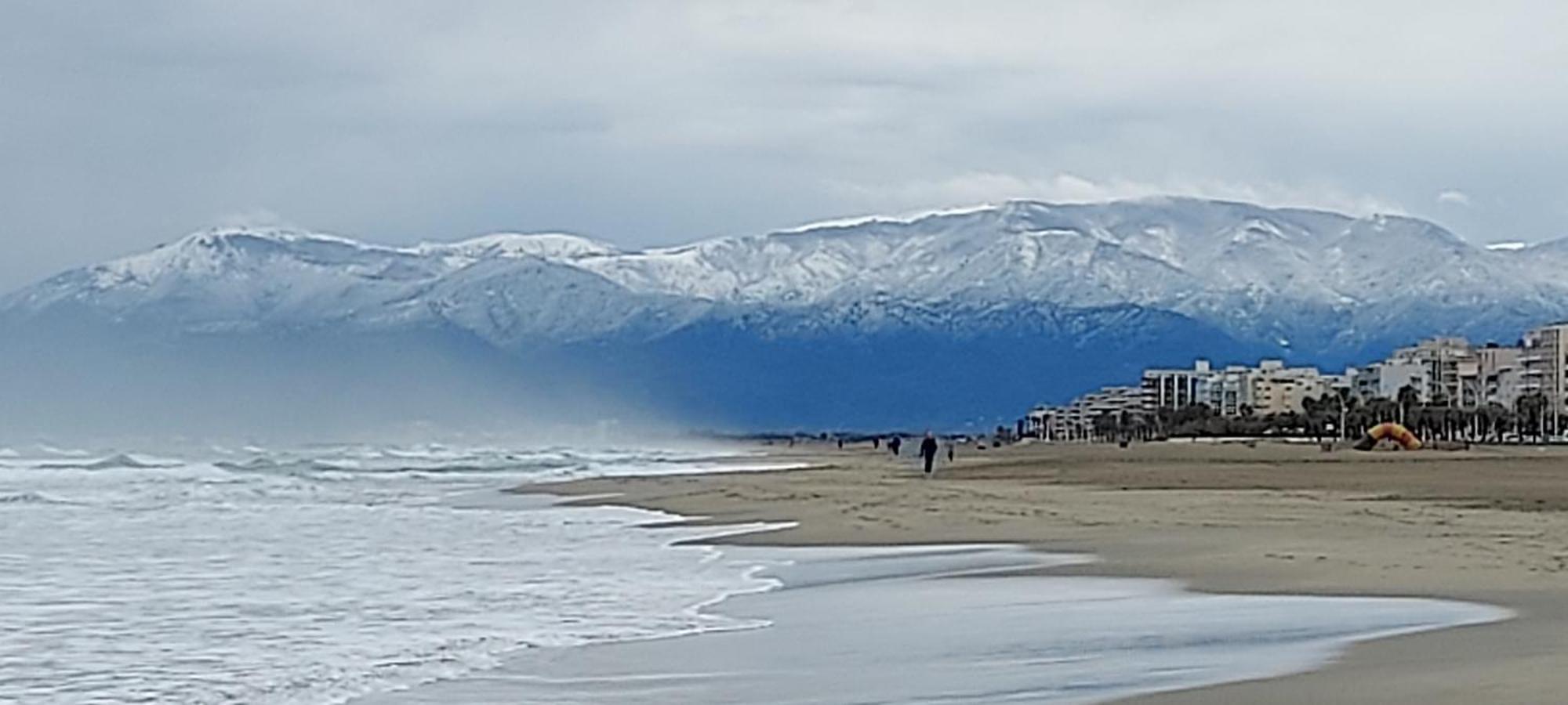 Chambres D'Hotes Un Ete Sans Fin A 50 M De La Plage A Canet Plage Eksteriør billede