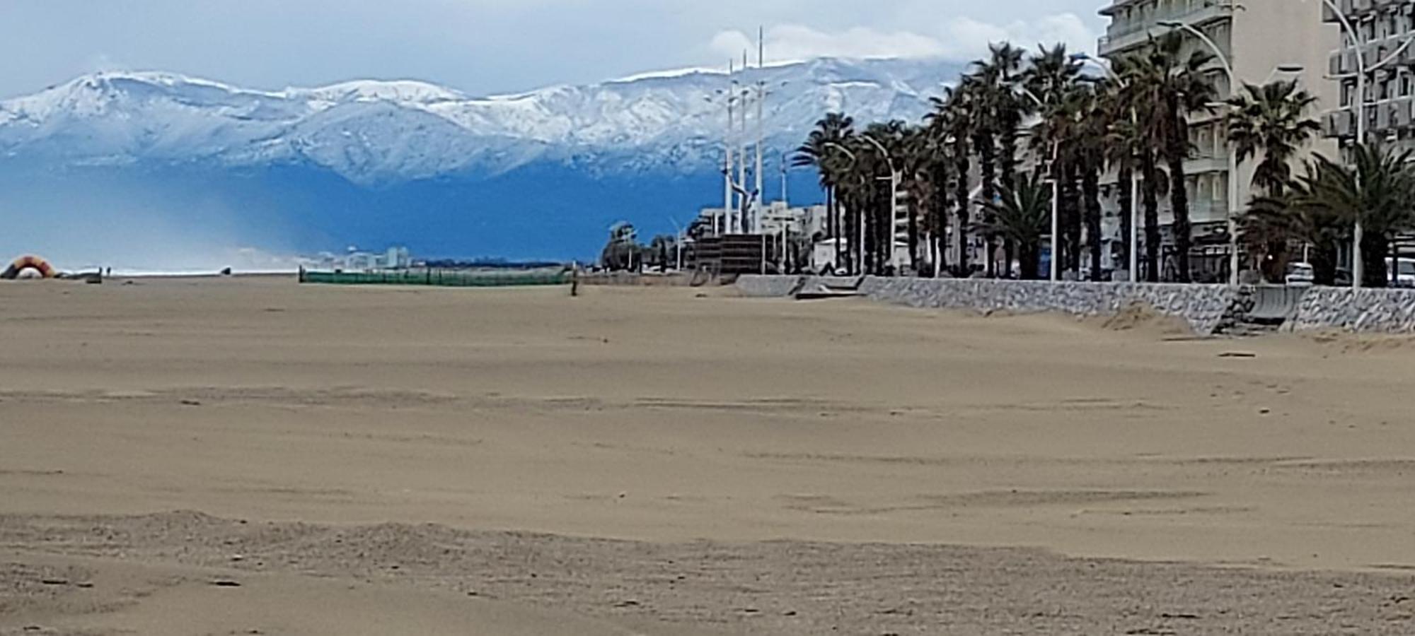 Chambres D'Hotes Un Ete Sans Fin A 50 M De La Plage A Canet Plage Eksteriør billede